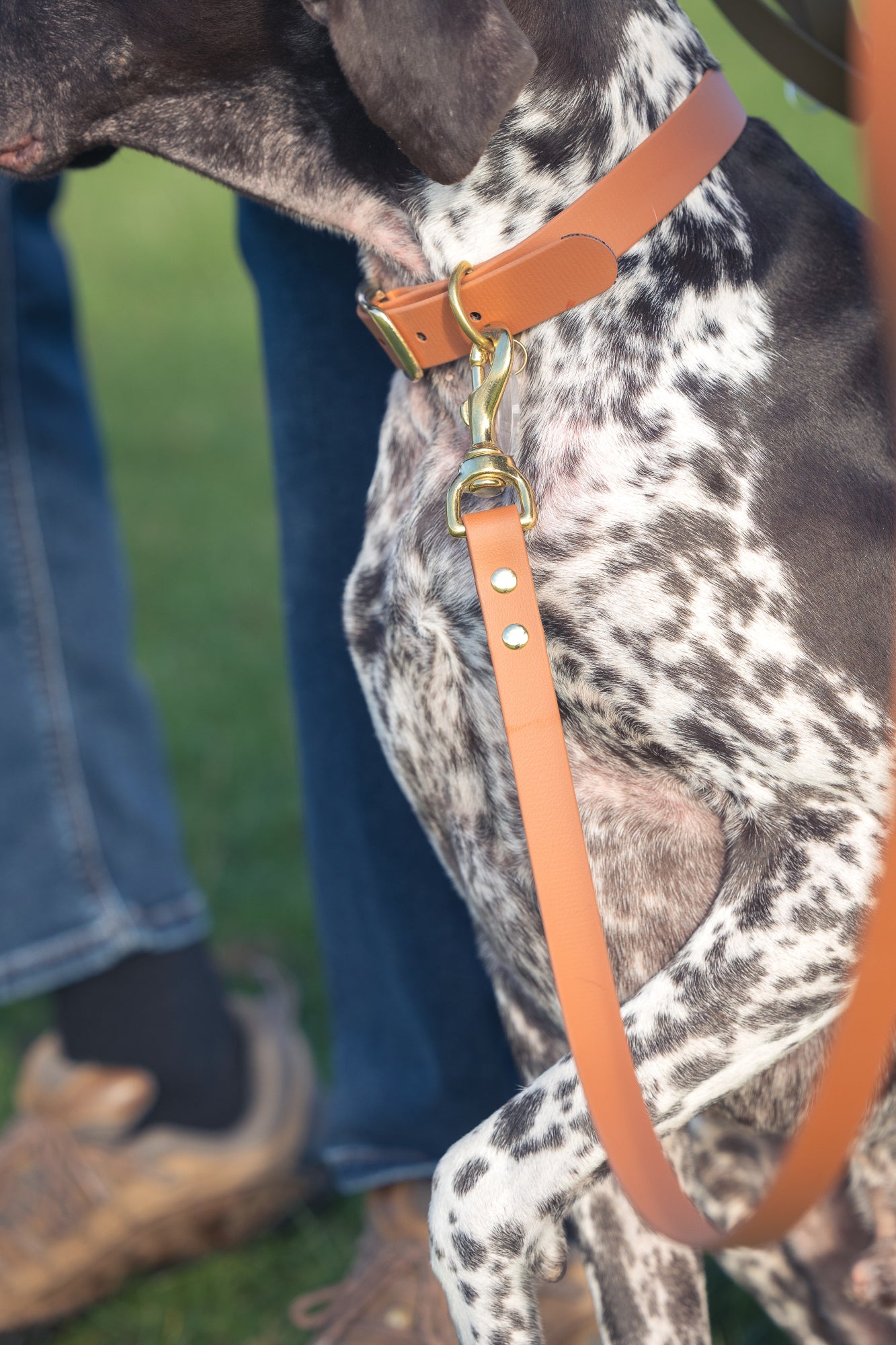 Tan BioThane® Dog Collar