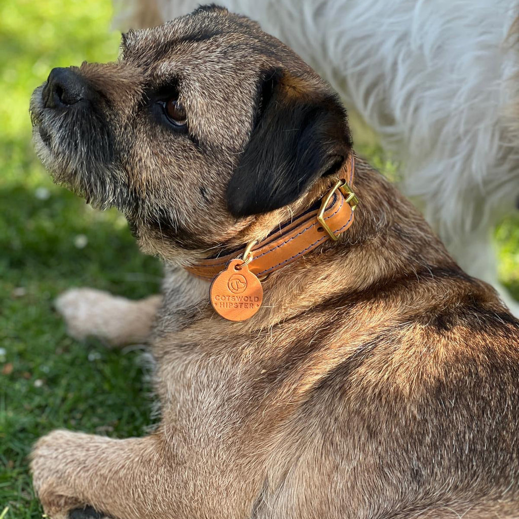 Leather and felt dog collar - Tan and marine