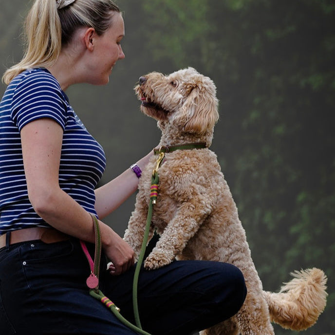 Leather and felt dog collar - Olive and raspberry