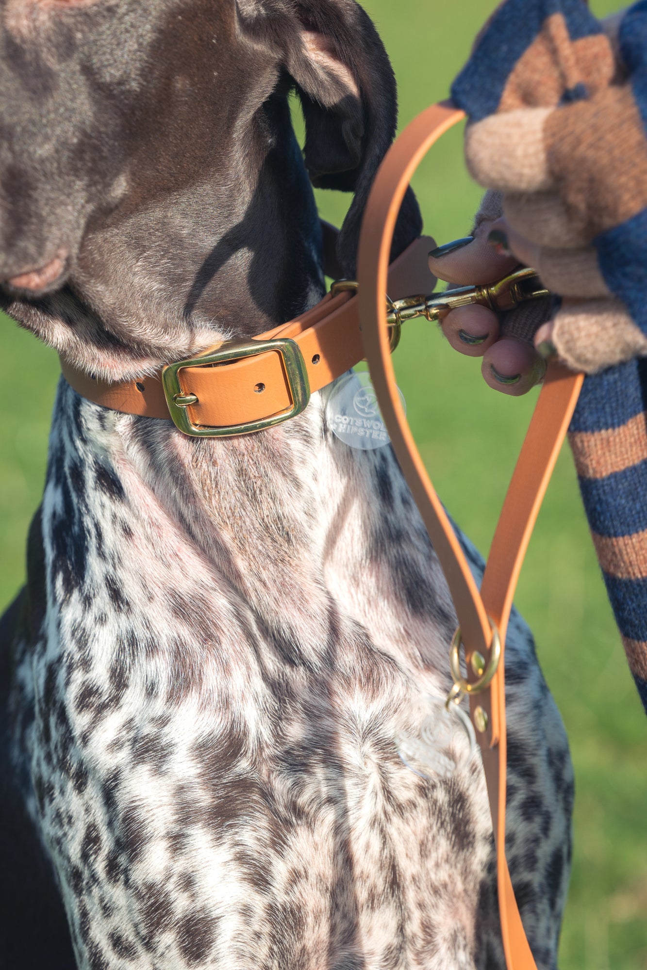 Tan BioThane® Dog Lead