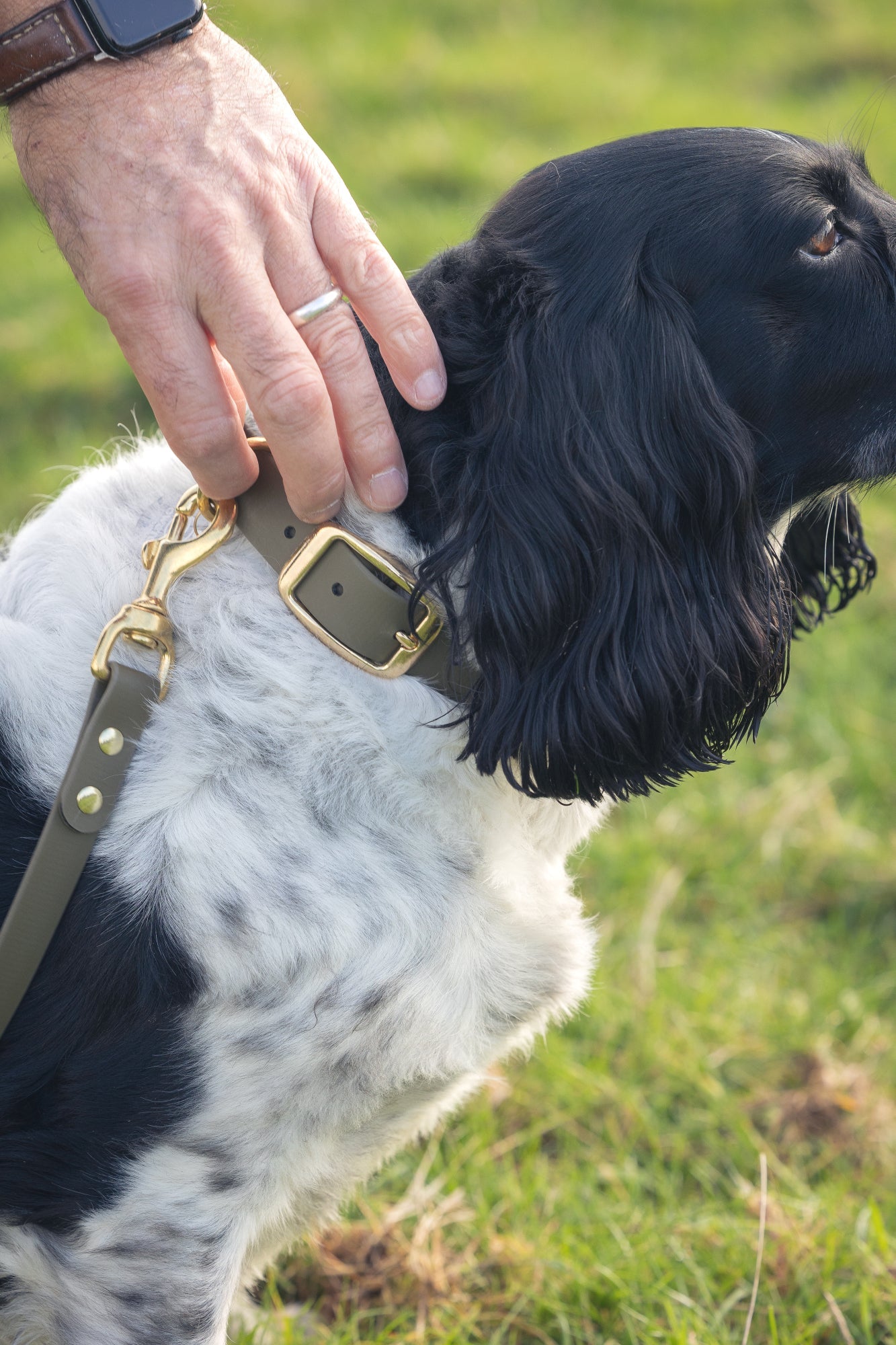 Olive BioThane® Dog Collar