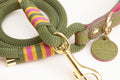 Leather and rope dog leads