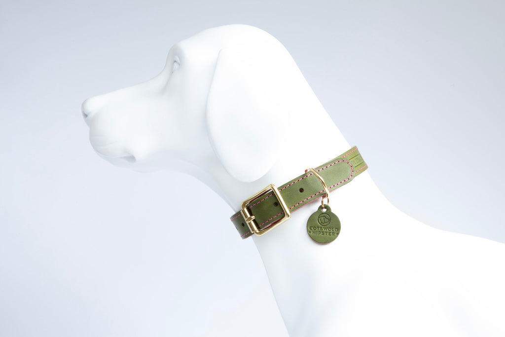 Leather and felt dog collar - Olive and raspberry