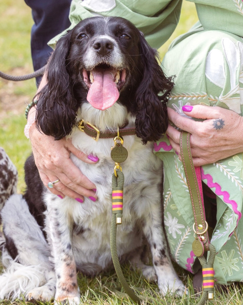 Leather and rope dog leads