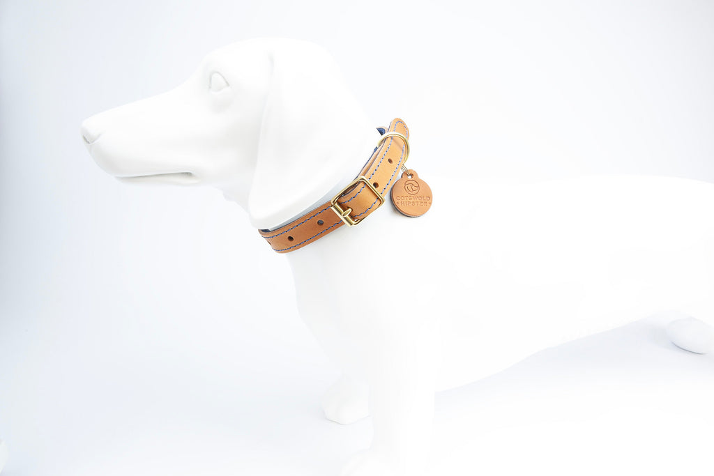 Leather and felt dog collar - Tan and marine